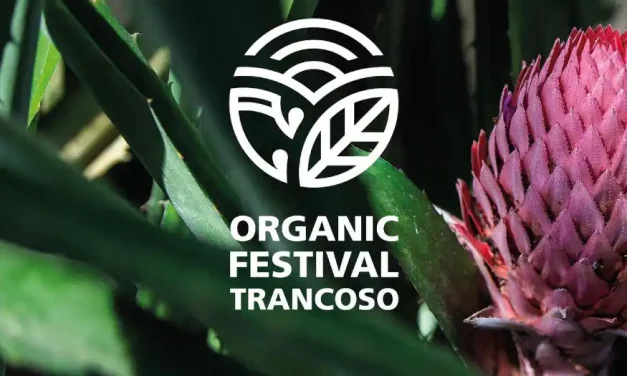 3º Organic Festival Trancoso ocorre de 6 a 9 de outubro