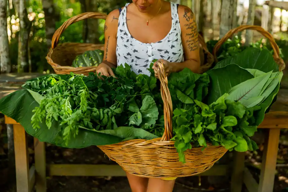 3º Organic Festival Trancoso ocorre de 6 a 9 de outubro