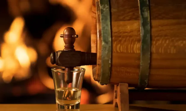 Confira dica de leitura para o Dia Nacional da Cachaça