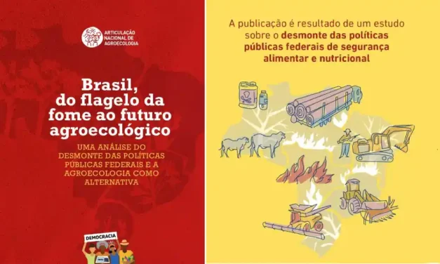Estudo mapeia desmonte de políticas públicas federais e ressalta agroecologia para vencer a fome no Brasil