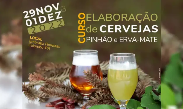 Curso da Embrapa Florestas ensina a fazer cerveja de pinhão e erva-mate