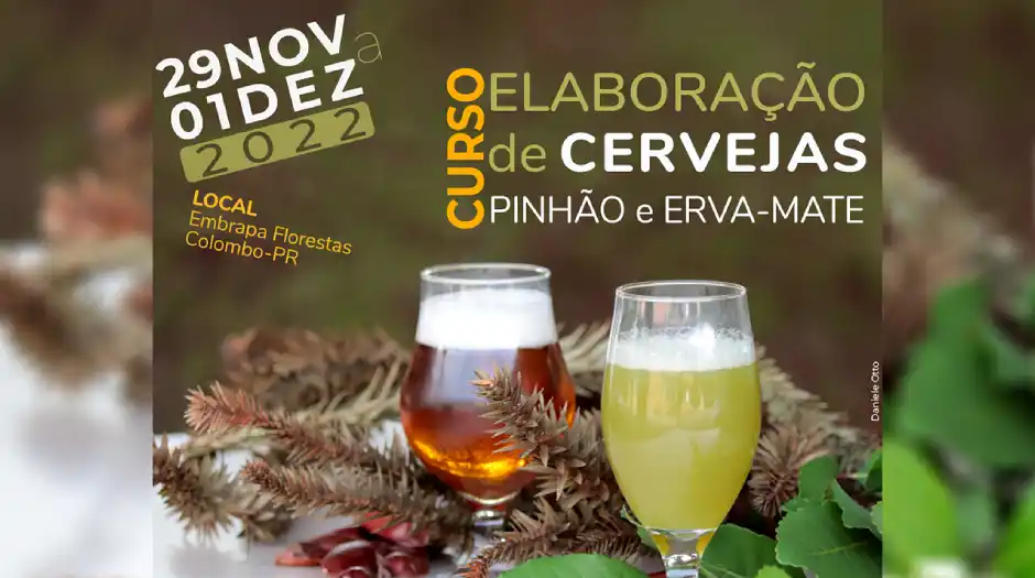 Embrapa Florestas lança curso que ensina a fazer cerveja de pinhão e erva-mate