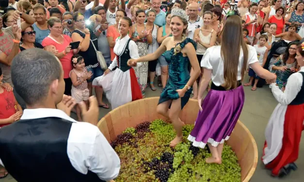 Festa da Uva de Jundiaí retorna em janeiro de 2023 com grande comemoração