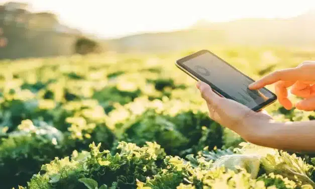 Investimento em empresas de tecnologia alimentícia aumenta 85% em um ano