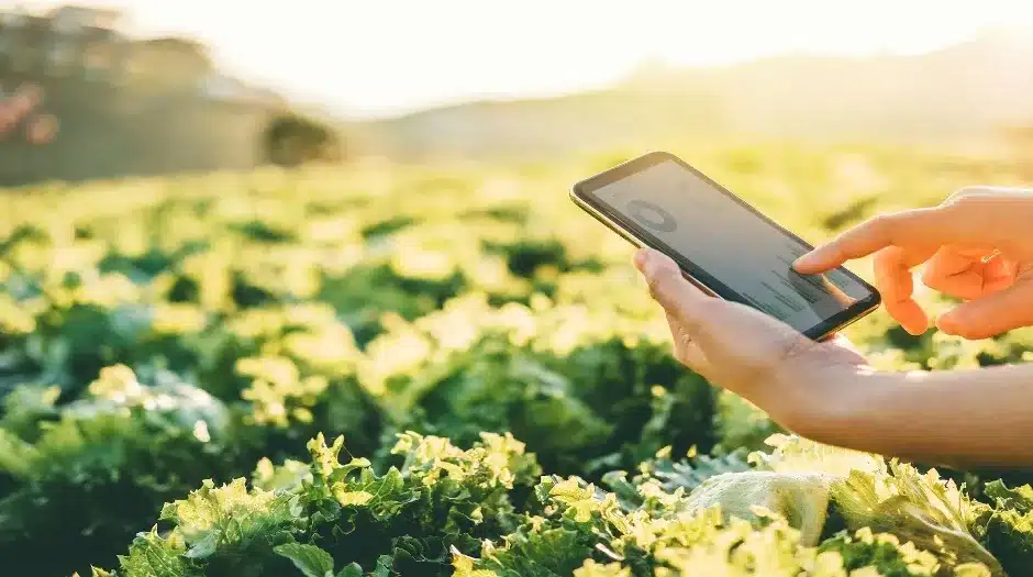 Investimento em empresas de tecnologia alimentícia aumenta 85% em um ano