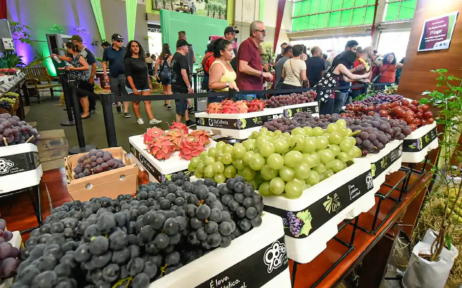 38ª Festa da Uva de Jundiaí começa nesta quinta com novo formato