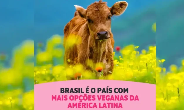 Brasil lidera ranking de países com mais ofertas veganas na América Latina, diz estudo