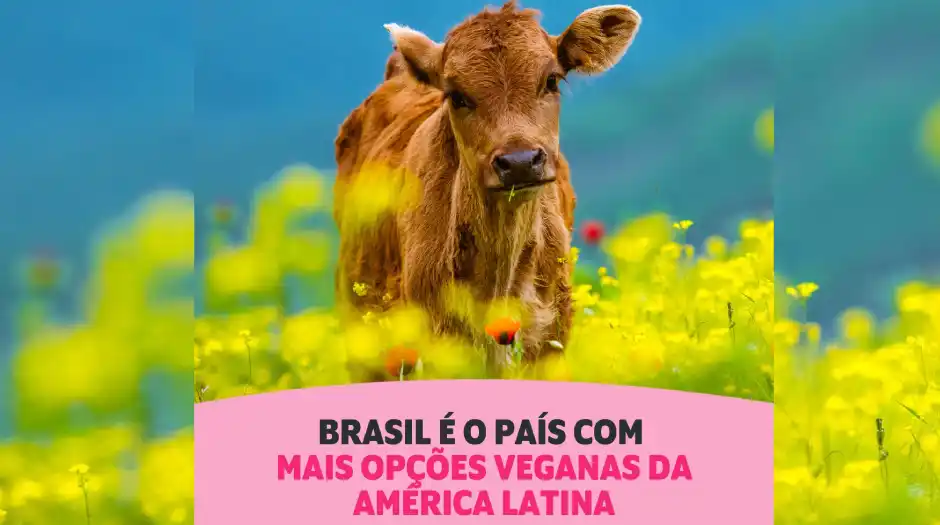 Brasil lidera ranking de países com mais ofertas veganas na América Latina, diz estudo