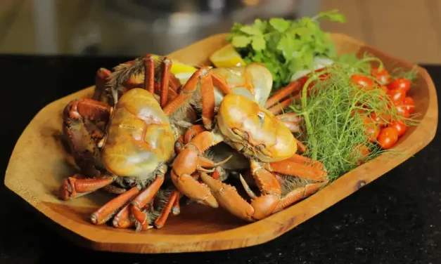 Festival do Pescado e Frutos do Mar Ceagesp – Edição Verão 2023 começa nessa sexta em SP
