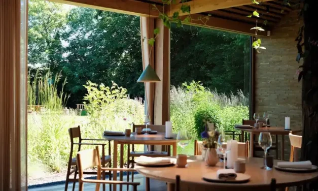 Por que o melhor restaurante do mundo vai fechar as portas? Entenda o motivo