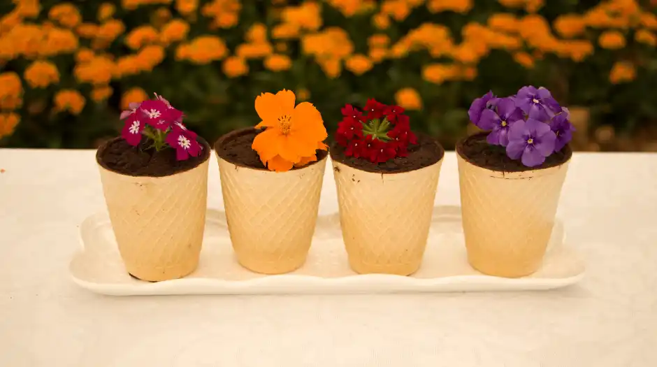 40ª Expoflora se prepara para receber mais de 400 mil visitantes com muita beleza, gastronomia, música e diversão