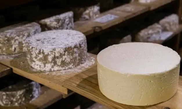 Bazar da Cidade leva arte, decoração e gastronomia à Casa Museu Ema Klabin, em São Paulo