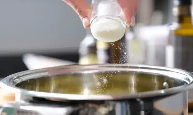 Glutamato: o que é e como ajuda a reduzir o sal no dia a dia?