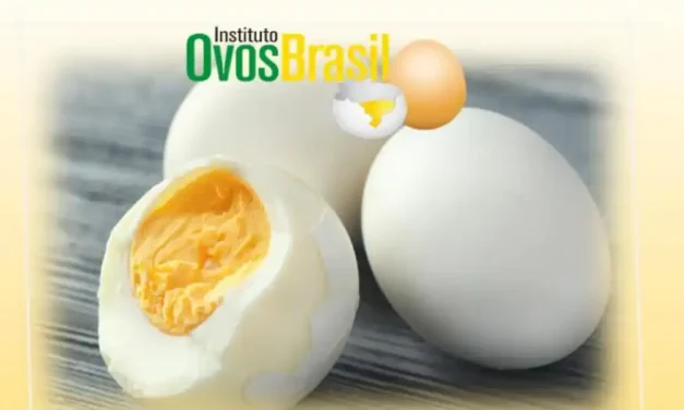 Conheça receitas deliciosas e saudáveis com ovo para seu almoço de Páscoa