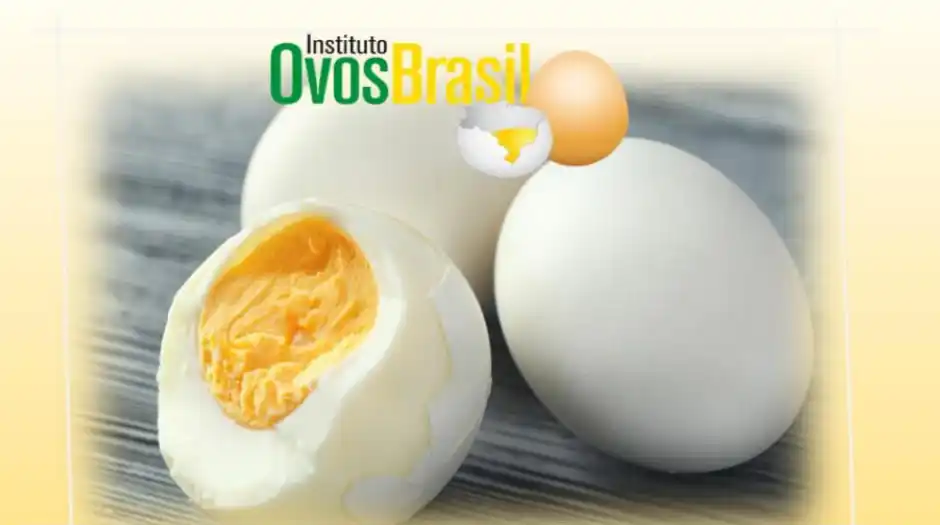 Conheça receitas deliciosas e saudáveis com ovo para seu almoço de Páscoa