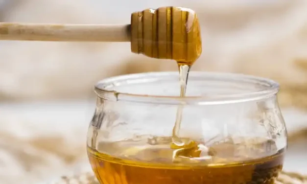 Descubra quais são os benefícios do consumo de mel para o organismo