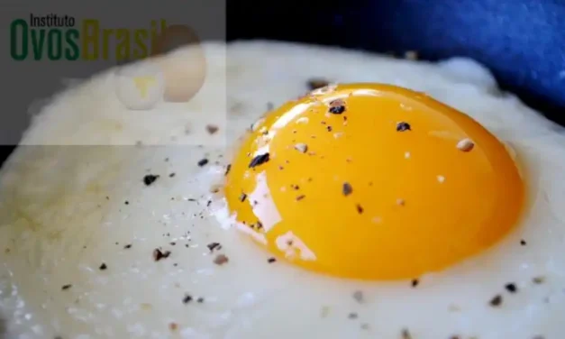 Ovo: alimento completo, saboroso e de baixo custo