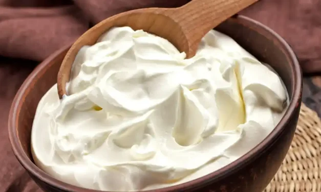 Confira como preparar um catupiry vegano caseiro saudável e prático