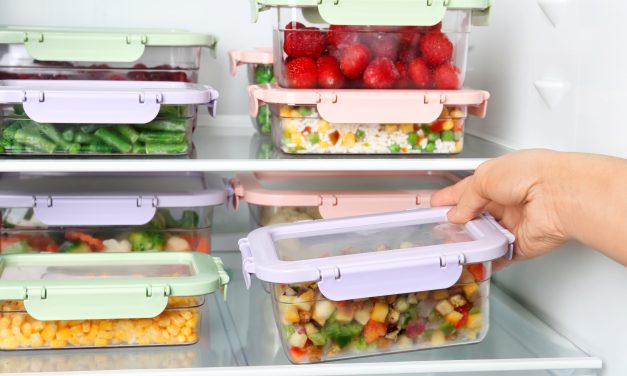 Dicas de congelamento de alimentos! Otimize seu tempo
