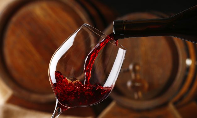 Tipos de uvas para vinhos: Cabernet a Merlot