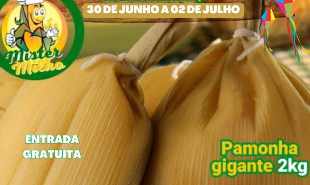 Big Food Festival especial Festa Junina