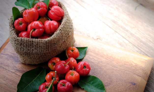 Vitamina de Acerola – uma explosão de saúde e sabor!