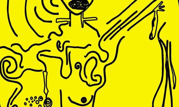 Exposição SARJETA chega ao MIS Campinas