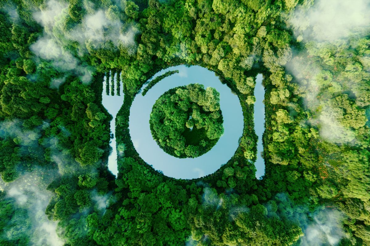 Restaurante sustentável