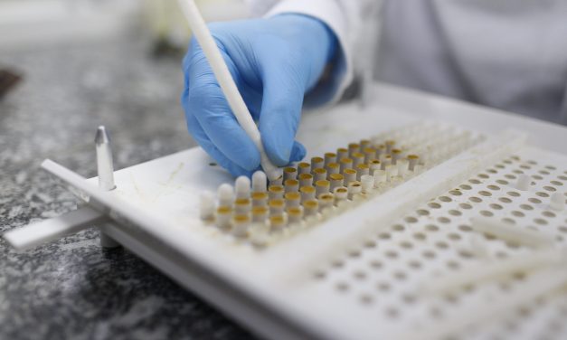 Nova tecnologia revoluciona uso da própolis como ingrediente industrial