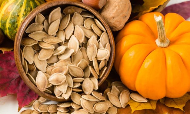 Sementes de abóbora: alimento rico em ferro, zinco e magnésio