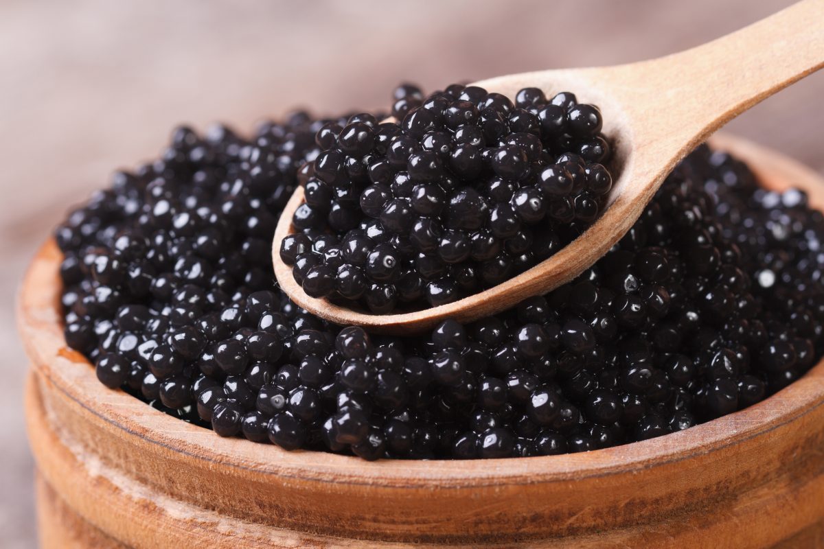 Caviar