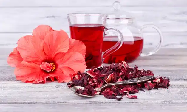 Descubra as fascinantes curiosidades sobre o Chá de Hibisco!