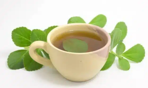 Chá de boldo: Por que tomar e modo de preparo