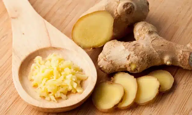 Tudo Sobre o Gengibre: Benefícios, Receitas e Como Usar!