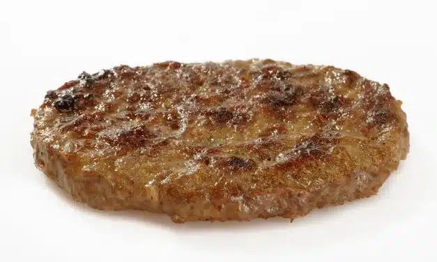 Carne de hambúrguer industrializada conheça os riscos