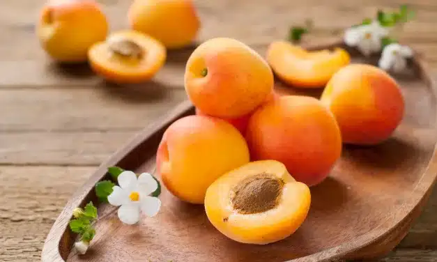 Os benefícios do Damasco para sua Saúde