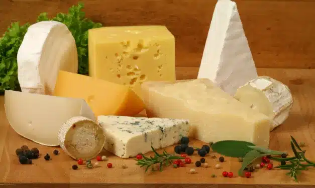 O Queijo Perfeito para a Sua Dieta: Descubra as Melhores Opções