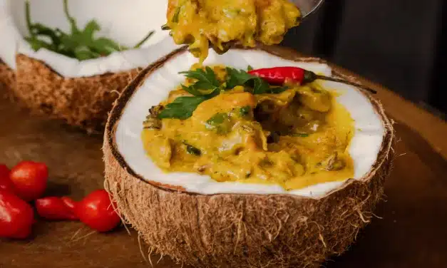 Festival Gastronômico Nordestino celebra a culinária e cultura do Nordeste