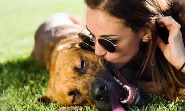 Transforme a Saúde do Seu Cachorro com Alimentação Natural