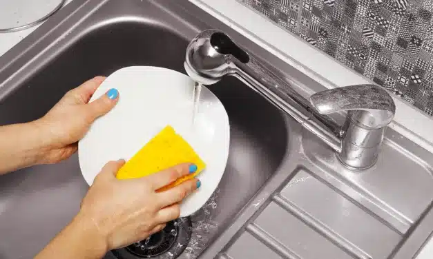 Esponja de Cozinha: Dicas Rápidas para Higienizar