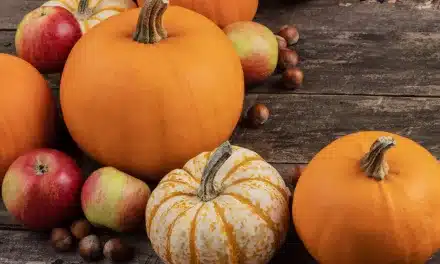 Descubra os Sabores de Outubro: Alimentos Típicos Deste Mês!