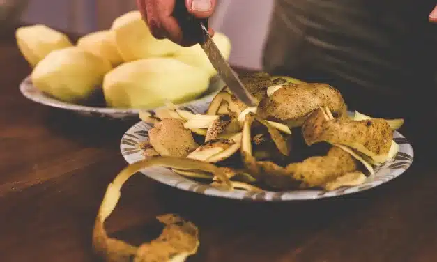 Petiscos Irresistíveis em Minutos: Chips de Casca de Batata