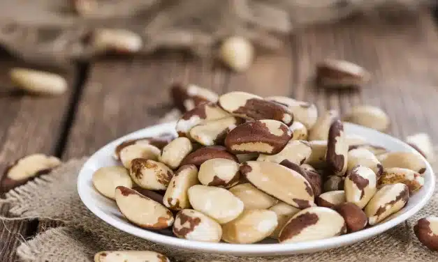 Castanha do Pará – Um dos Alimentos Mais Calóricos do Mundo!