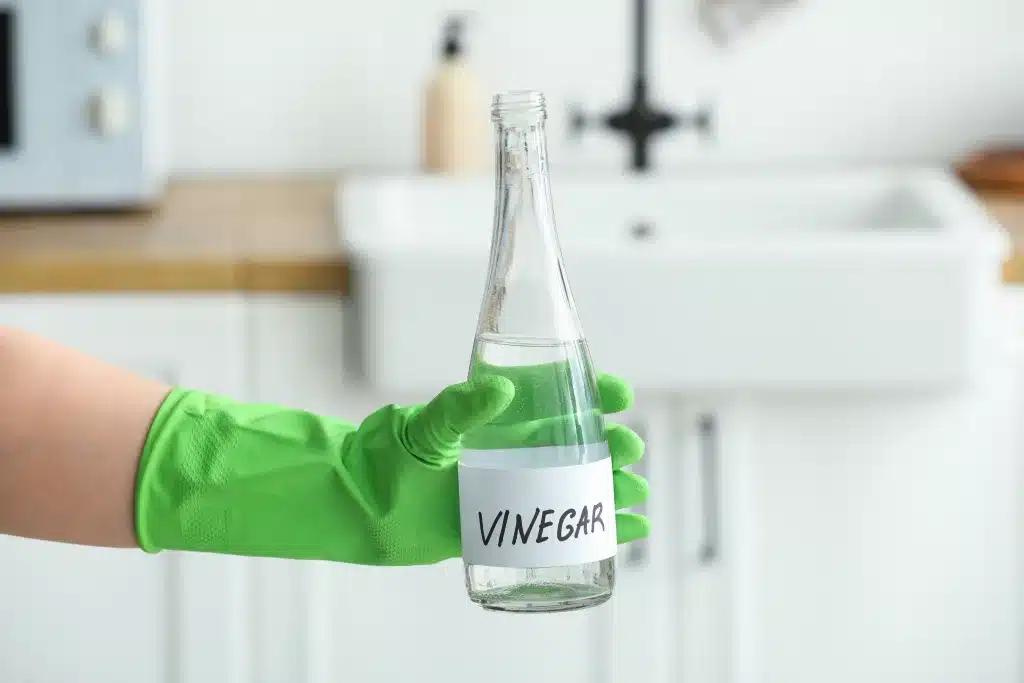 Vinagre Branco