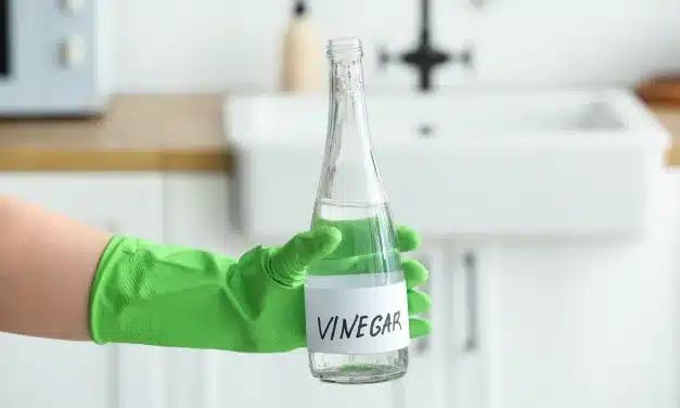 Vantagens do Vinagre Branco para Suas Roupas