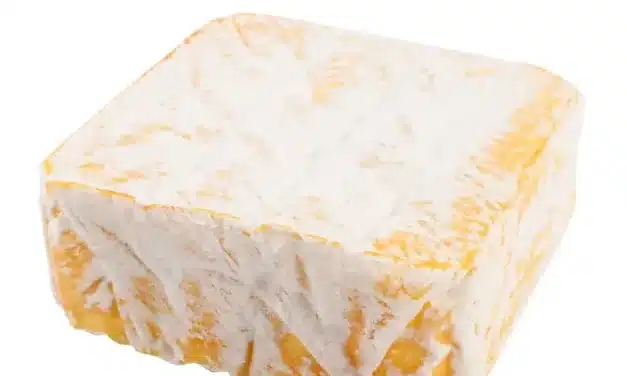 Queijo Limburger: Um Desafio para o Paladar!