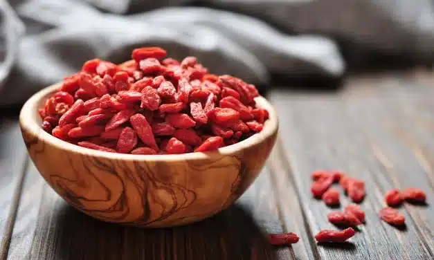 Goji Berry: Como Consumir para uma Vida mais Saudável!