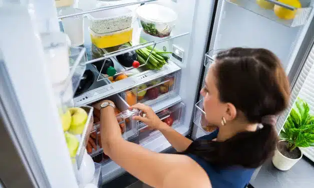 Como manter os alimentos bem conservados no verão?