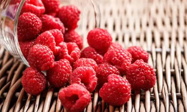 Framboesa: O Super Alimento que Transforma seu Corpo