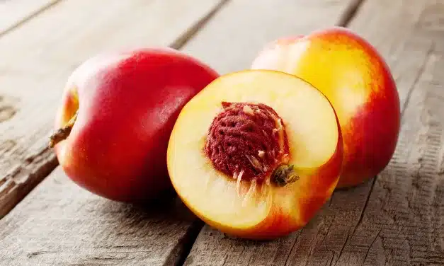 Nectarina: Fruta Imperdível para as Festas de Final de Ano